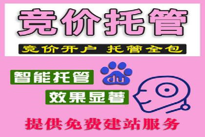 探索sem竞价广告的奥秘：从案例看效果提升